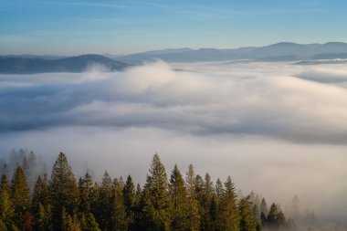 Bulutların üzerindeki dağların manzarası, dağ silsilesi, köknar ormanı ve mavi gökyüzü, doğa yolculuğu arka planı.