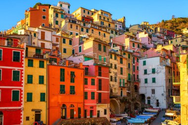 Cinque Terre Ulusal Parkı 'ndaki Riomaggiore köyünün manzarası, renkli evleri ve İtalya' nın Liguria bölgesindeki deniz kıyısındaki uçurumlarda yeşil terasları olan güzel şehir manzarası. Dış seyahat arka planı