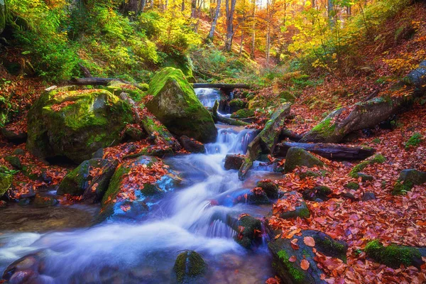 Sonniger Herbstwald Mit Kleinem Fluss Buchen Steinen Und Abgefallenen Farbigen — Stockfoto