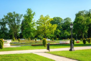 Keszthely, Zala, Macaristan 'da güneşli bir yaz gününde çiçekler, yeşil çimenler ve ağaçlarla dolu güzel bir şölen bahçesi. Dış seyahat arka planı