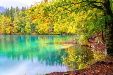 Laghi di Fusine aşağı göl, Tarvisio, İtalya. İnanılmaz sonbahar manzarası, yansımalı kristal berrak su ve renkli orman Mangart sıradağlarıyla çevrili, dış dünya seyahati arka planı.