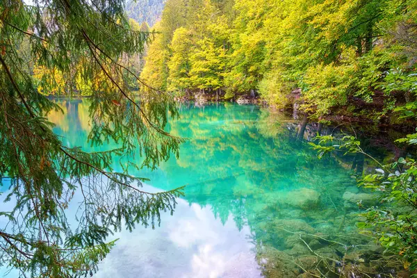 意大利塔尔维西奥Laghi Fusine下湖 美丽的秋景 晶莹清澈的水带着倒影 五彩斑斓的森林环绕着曼加尔特山脉 户外旅行背景 — 图库照片