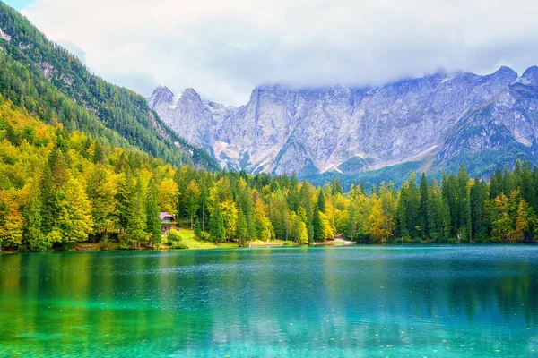 Laghi di Fusine aşağı göl, Tarvisio, İtalya. İnanılmaz sonbahar manzarası, yansımalı kristal berrak su ve renkli orman Mangart sıradağlarıyla çevrili, dış dünya seyahati arka planı.