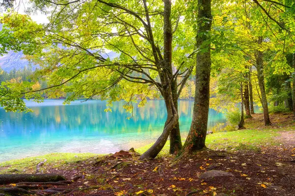 Laghi Fusine Inferior Lake Tarvisio Italy Amazing Autumn Landscape Crystal — Stock Photo, Image