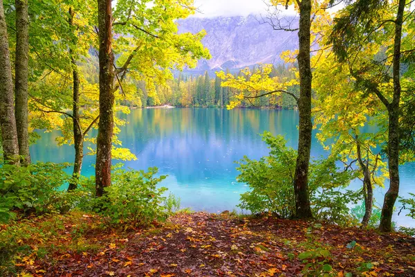 ファシン劣る湖 タリヴィオ イタリア 素晴らしい秋の風景 反射とマングマートの山脈に囲まれた色の森と透明な水 屋外旅行の背景 — ストック写真