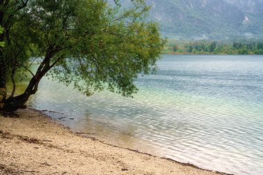 Bohinj Gölü (Bohinjsko jezero), Triglav Ulusal Parkı, inanılmaz sonbahar manzarası, Slovenya. Temiz suyun manzarası, bulutlu Alpler dağları ve renkli ormanlar, arka plan seyahati.