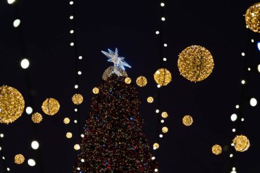 Kyiv Ukrayna - 01.13.2022: Ukrayna 'nın St. Sophia Meydanı' ndaki ana Noel ağacı, Kyiv 2022