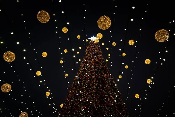 Κίεβο Ουκρανία 2022 Κύριο Χριστουγεννιάτικο Δέντρο Της Ουκρανίας Στην Πλατεία — Φωτογραφία Αρχείου