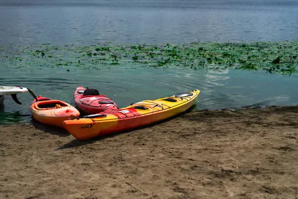 Yaz mevsiminde Kyiv Parkı Natalka ve Dnipro Nehri