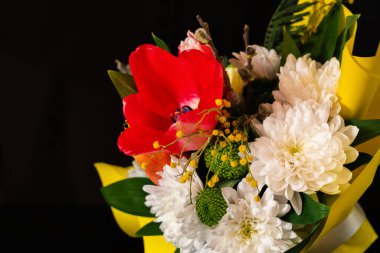 Koyu arkaplanda renkli bahar çiçeği buketi