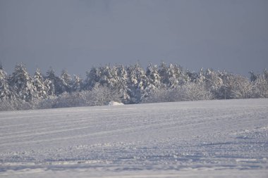 Karla kaplı tarlalar ve ağaçlar