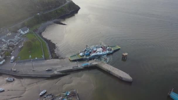 Drone River Suir Irland Flygfoto Över Passage East Ferry Över — Stockvideo