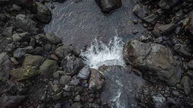 Flores adasındaki Azores şelaleleri ve uçurumları. Portekiz.