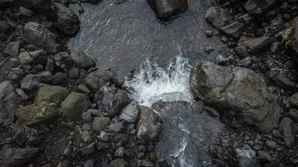 Flores adasındaki Azores şelaleleri ve uçurumları. Portekiz.