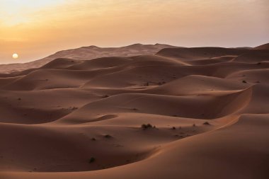 Gün batımında Merzouga Çölü 'nün yumuşak, yuvarlanan kum tepeleri huzur dolu bir manzara yaratıyor..