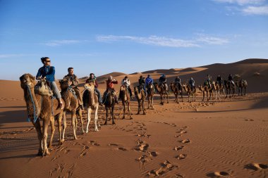 Bir grup insan, açık mavi gökyüzünün altındaki uçsuz bucaksız ve çarpıcı Sahra çöllerinde develere biniyor..