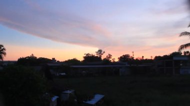 Bambu ağacı ve Palmiye ağacı olan bir arazi dağında yaz doğası.