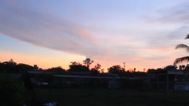 Bambu ağacı ve Palmiye ağacı olan bir arazi dağında yaz doğası.