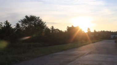 Palmiye ve hindistan cevizi ağacının doğası... Tarla dağının doğuşuyla... güzel orman... Filipinler...