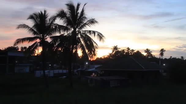 Летняя Природа Полевой Горе Бамбуковыми Пальмовыми Деревьями Филиппин — стоковое видео