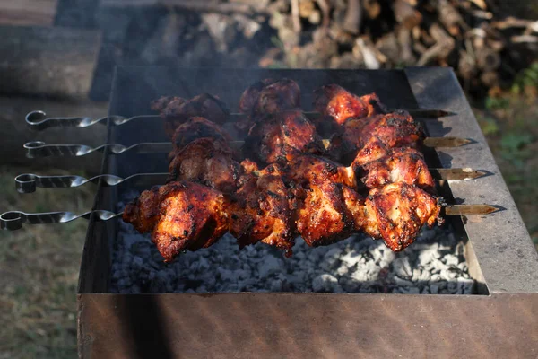 Pork Barbecue Shashlik Skewers Frying Grill Brazier Fire Wood Stack — Stock Photo, Image
