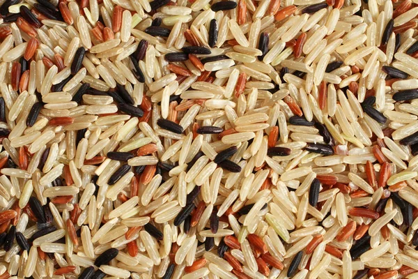 Pohled Shora Dolů Hromadu Divoké Rýže Makro Closeup — Stock fotografie