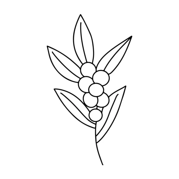 Ручной Рисунок Минималистской Ветви Листьями Ягодами Черный Контур Контура Контура — стоковый вектор