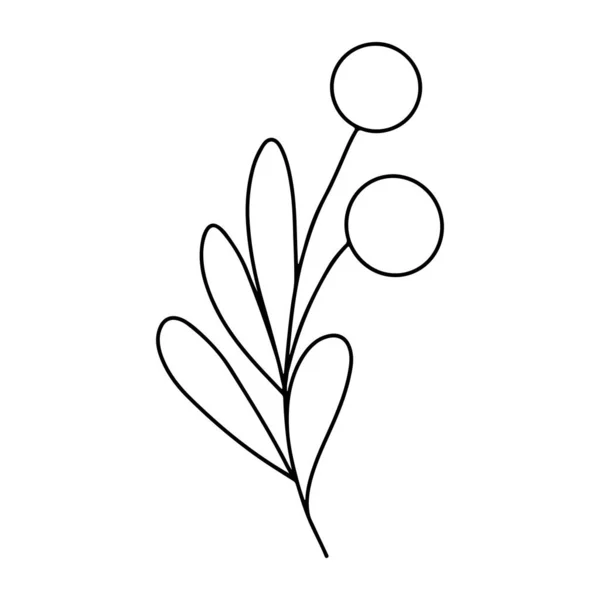 Ручной Рисунок Минималистской Ветви Листьями Ягодами Черный Контур Контура Контура — стоковый вектор