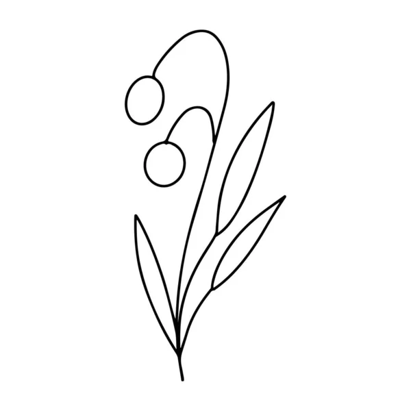 Ручной Рисунок Минималистской Ветви Ягодами Листьями Черный Контур Контура Контура — стоковый вектор