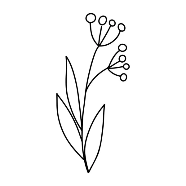 Ручной Рисунок Минималистской Ветви Ягодами Листьями Черный Контур Контура Контура — стоковый вектор