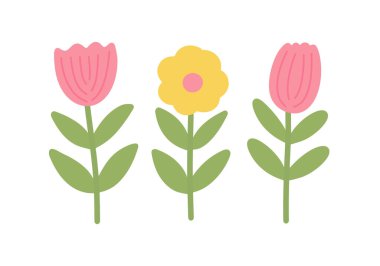 Üç basit bahar çiçeği, saf İskandinav el çizimi grafik tarzıyla vektör çizimi yapıyor. Paskalya, bahar, yaz, bahçe tasarımları için minyatür çiçekçiler..