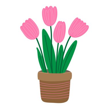 Şirin El Çekimi Pembe Lale Çiçekleri. Paskalya ve Bahar Tatilleri için Minimalist Çocukça Çiçek Düzenleme.