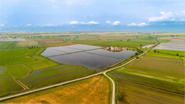Piedmont 'ta merkezi çiftlik evi olan İtalyan pirinç tarlalarının havadan görünüşü