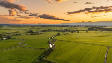 Sunset, Vercelli 'deki pirinç tarlalarının dramatik hava görüntüsü. Vercelli, Piedmont, İtalya 'daki yeşil pirinç tarlalarının ve sarmal sulama kanallarının insansız hava aracı görüntüleri. Renkli günbatımı bulutlarıyla dramatik gökyüzü kırsal tarım arazisi üzerinde.