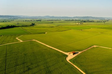 Vercelli, İtalya 'daki Pirinç Tarlası Yollarının Hava Görüntüsü. İtalya 'nın Piedmont kentindeki Vercelli ilindeki yemyeşil pirinç tarlalarını ayıran geometrik yolların hava aracı görüntüsü. Yazın gökyüzünün altında tepeleri olan geniş tarım arazisi.
