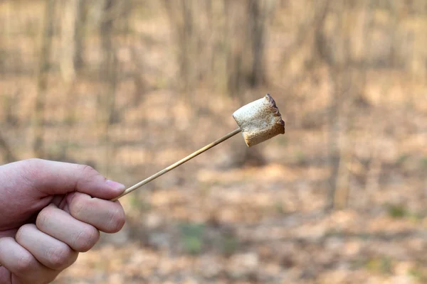 Geroosterde Marshmallow Een Stok Roosterend Boven Kampvuur Wazige Achtergrond Camping — Stockfoto