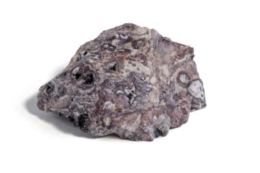 Pelitic Schist Kayası Beyaz Arkaplanda izole edilmiş.