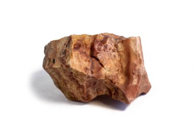 Pelitic Schist Kayası Beyaz Arkaplanda izole edilmiş.