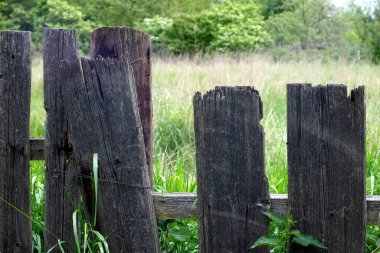 Kabaca işlenmiş tahtalardan yapılmış bir çit. Kaba kütüklerden bir geçit. Güneş ışınları, güneşli gün manzarası
