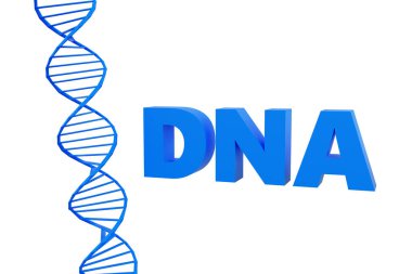 Gri podyumdaki lüks mavi yazı DNA 'sı, yumuşak ışık, pürüzsüz arkaplan, 3D resimleme