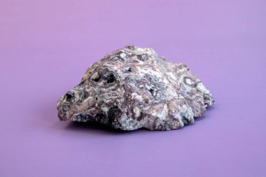 Pelitic Schist Rock placed isolated on on light purple Background close up clipart