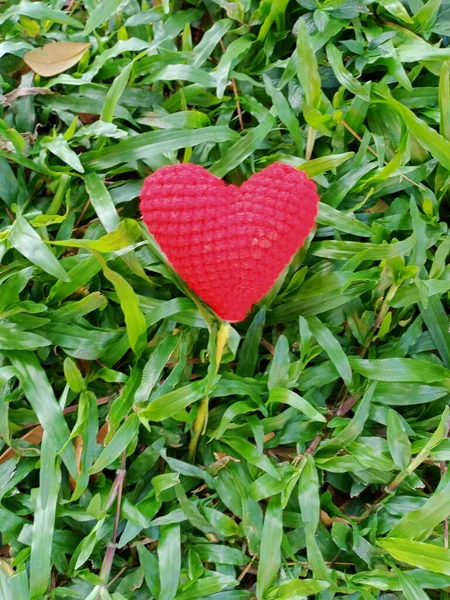 Knitted Heart Grass — Stock Photo, Image