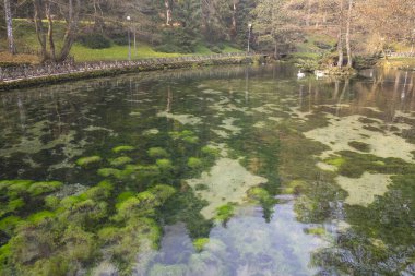 Bosna-Hersek 'teki Vrelo Bosne Parkı' nda Sonbahar.