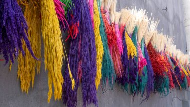 Türkiye 'nin Batı Anadolu Köyü' nde Renkli Kuru Bitkiler Kurumak Üzere Asıldı