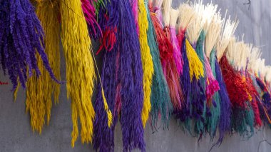 Türkiye 'nin Batı Anadolu Köyü' nde Renkli Kuru Bitkiler Kurumak Üzere Asıldı