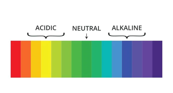 Scale Labels Spectrum Indicators Vector Illustration — Stock Vector