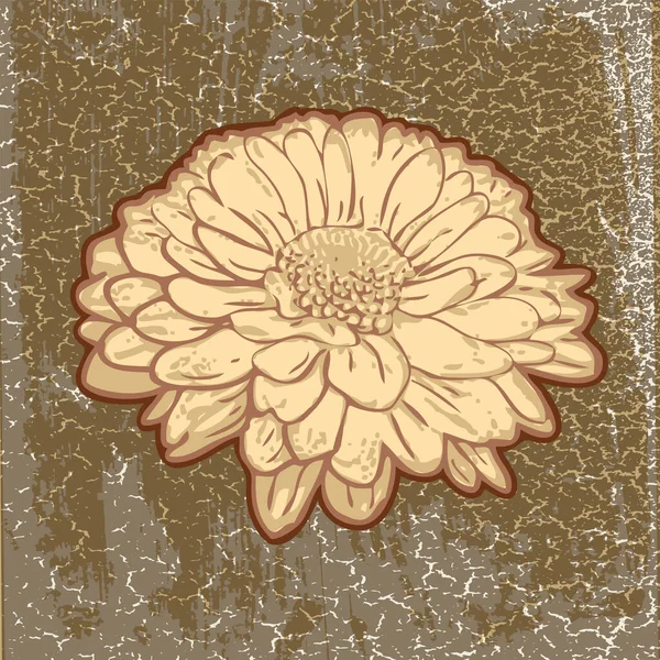 Векторное Изображение Цветка Хризантемы Стиле Поп Арта Модерн Графика Текстура — стоковый вектор