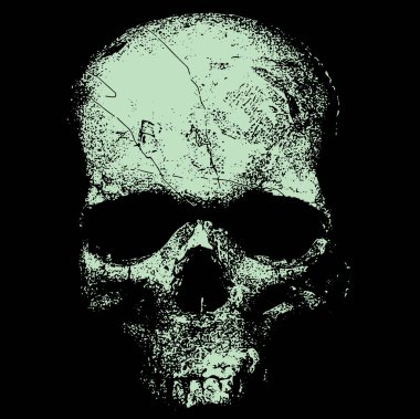 Vector image of a skull in an engraving style, a pragmatic sketch, bones, death, Halloween, horror, fear, anotomy, tattoo, shading