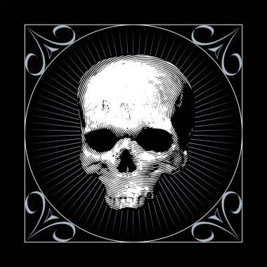 Vector image of a skull in an engraving style, a pragmatic sketch, bones, death, Halloween, horror, fear, anotomy, tattoo, shading