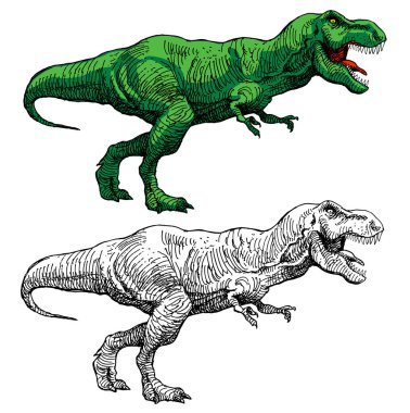 vector image of a large agressive dinosaur with a ripped mouth in the style of graphic outline toon green huge hunter